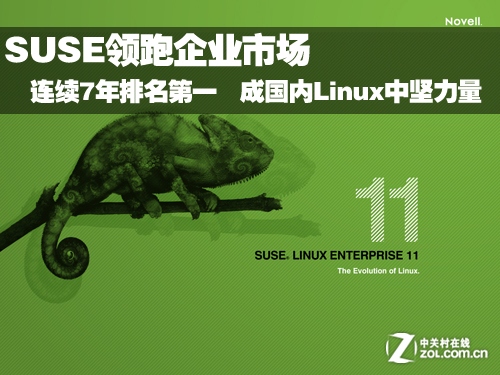 SUSEé¢è·ä¼ä¸å¸åº æLinuxéµè¥ä¸­ååé 